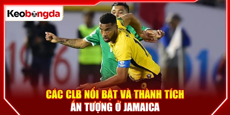 Các CLB nổi bật và thành tích ấn tượng ở Jamaica
